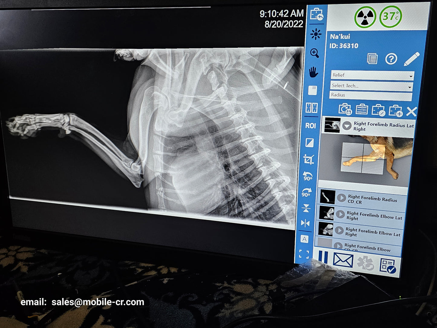 veterinary x-ray machine digital HF 300MA