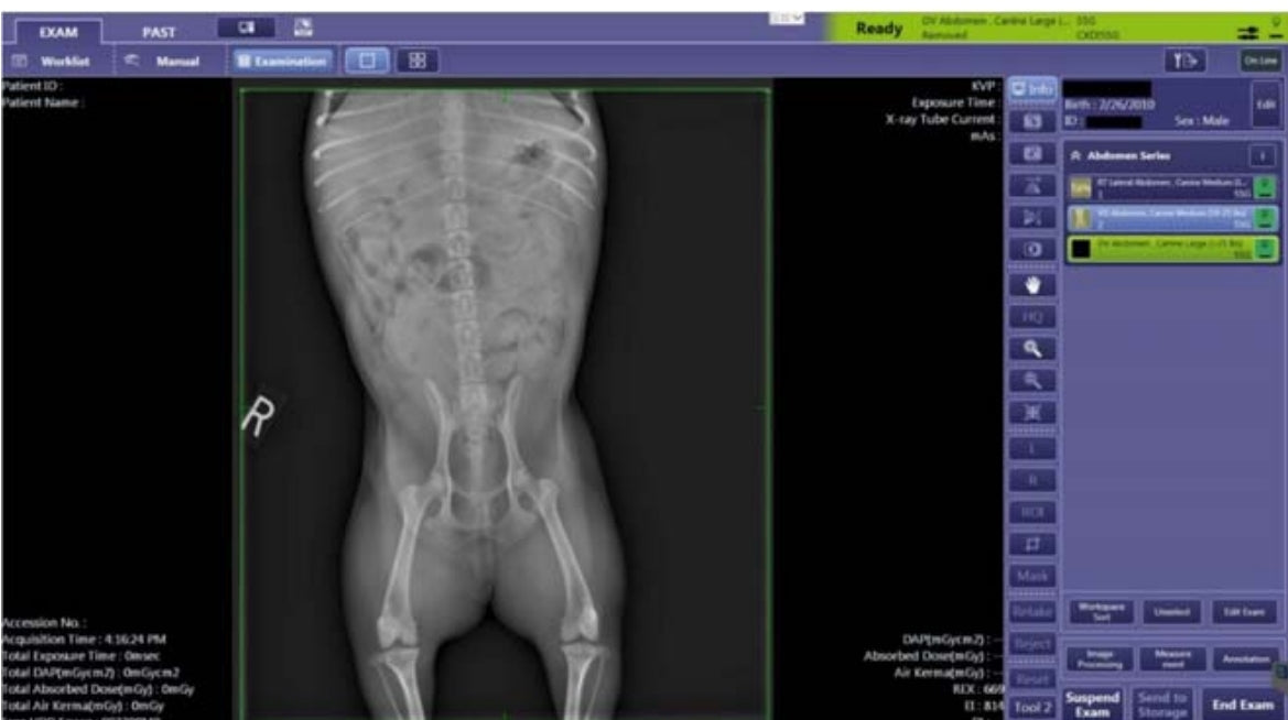 digital veterinary x-ray machine HF