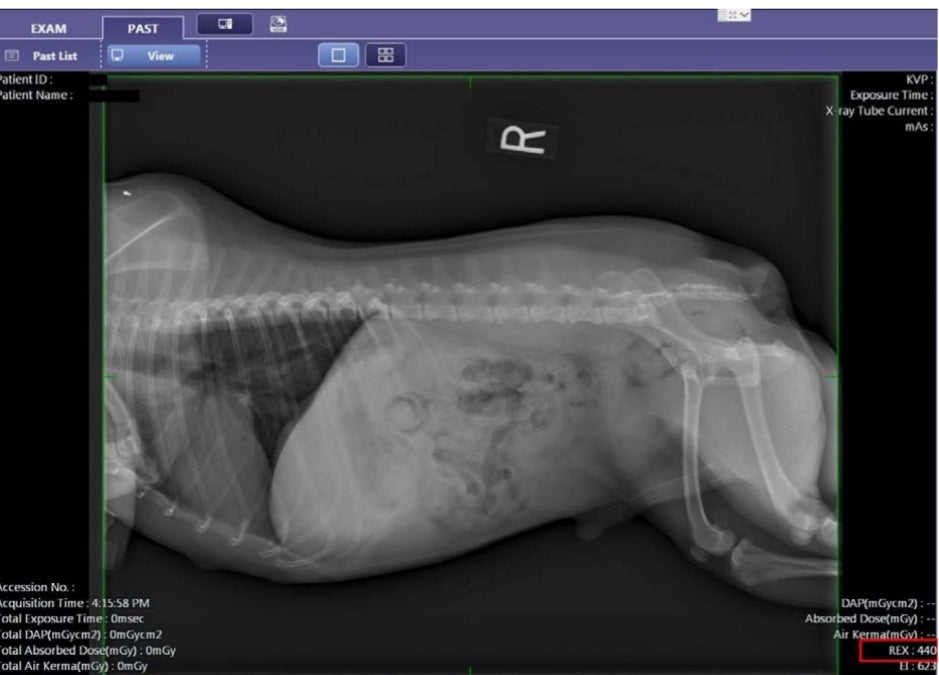 digital veterinary x-ray machine HF