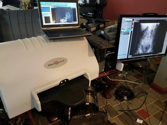 digital x-ray scanner carestream