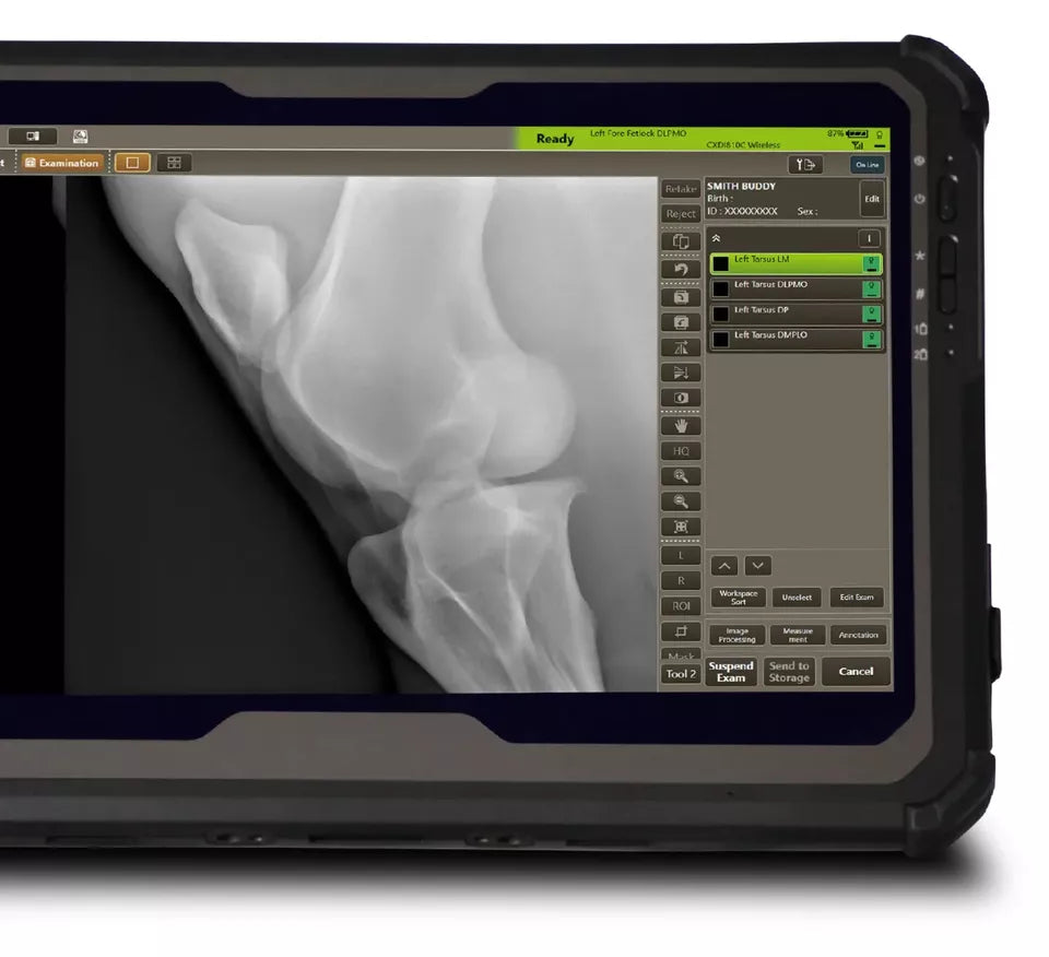 equine digital xray DR panel wireless Canon sprint