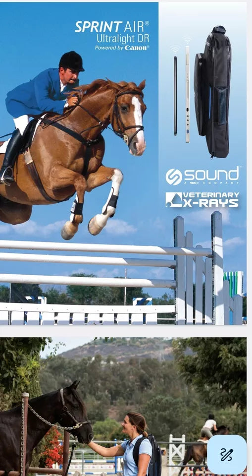 equine DR x-ray panel sound eklin sprint air